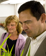 Les and Claire Halpin