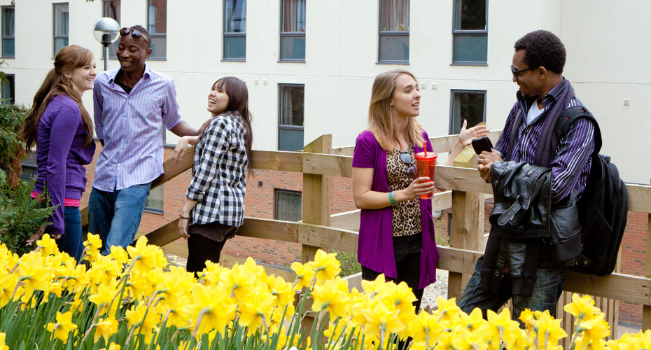 students-external-daffodils
