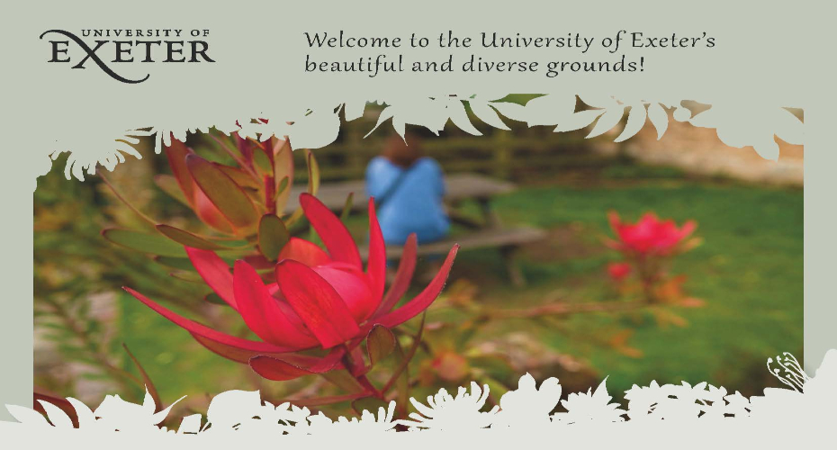 Grounds Welcome Postcard Side 1