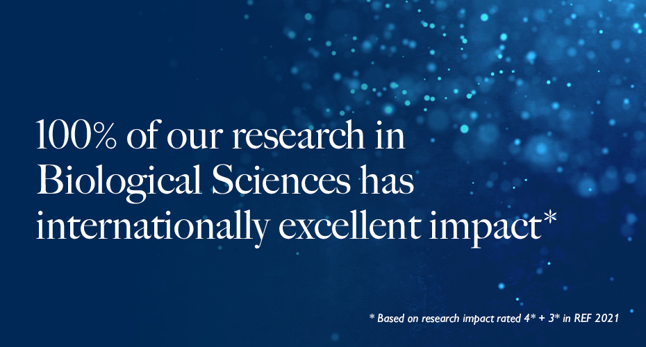 100% of our research in Biological Sciences has internationally excellent impact. (Based on research impact rating 4 stars and 3 stars in REF 2021.)