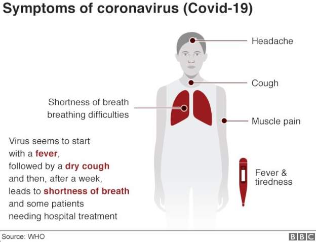what test should i get if i have covid symptoms