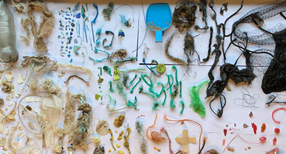 A collection of plastic found on a beach