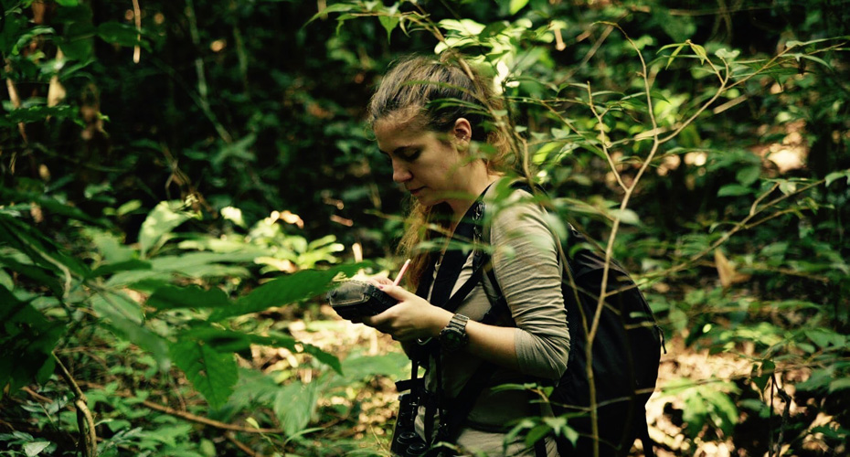 Delphine collecting behavioural data on the macaques in the Thai rainforest