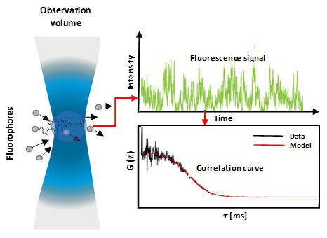 Fluorescence Correlation Spectroscopy (FCS) and subsidiary methods