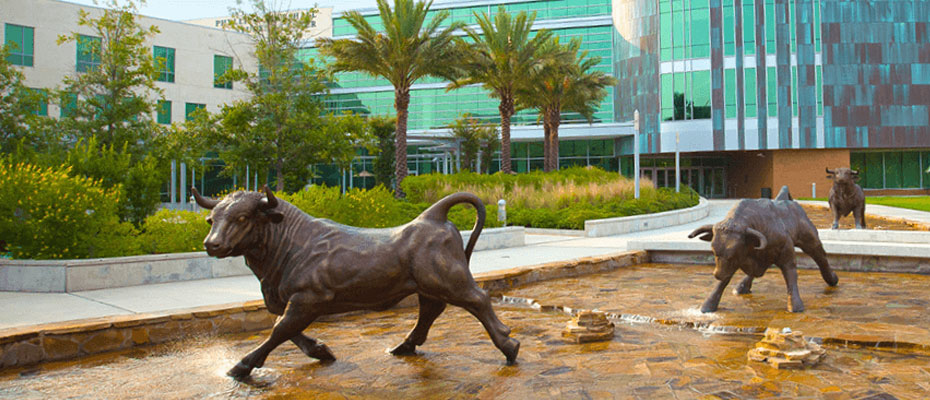 Statues outside South Florida University
