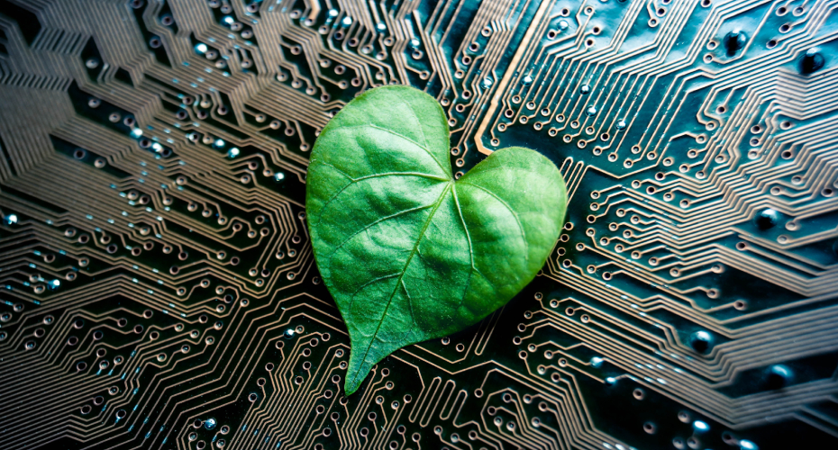 A leaf resembling a heart positioned on a circuit board