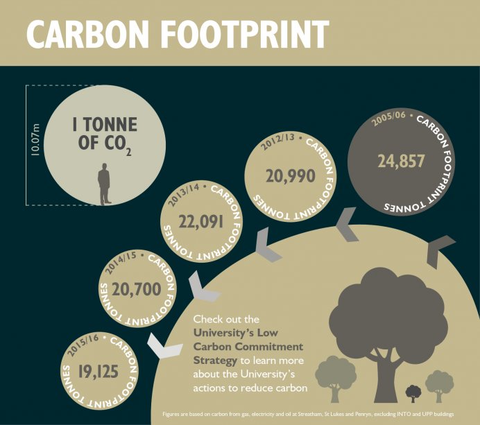 Carbon Footprints Infographic Infographic List - vrogue.co