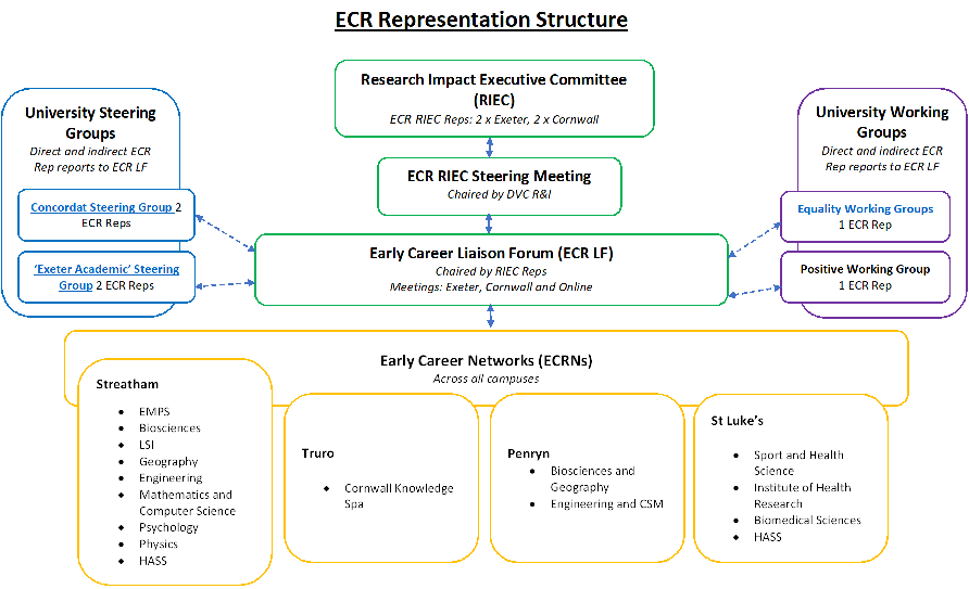 ECR Representation Structure