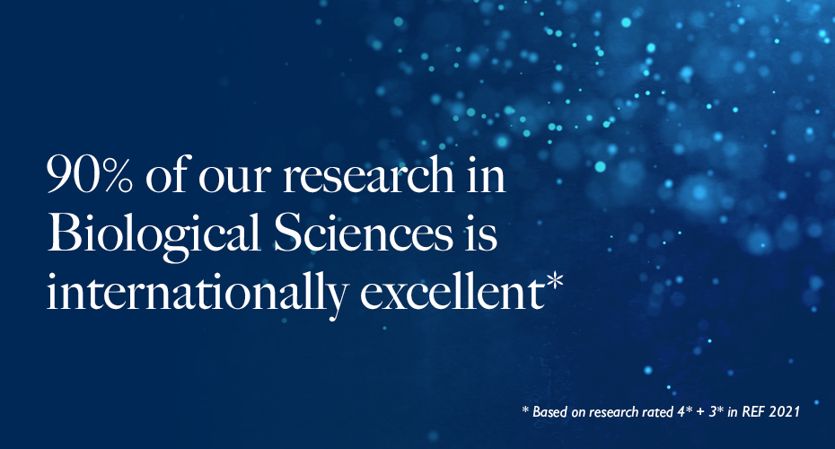 90% of our research in Biological Sciences is internationally excellent. (Based on research rated 4 stars and 3 stars in REF 2021.)