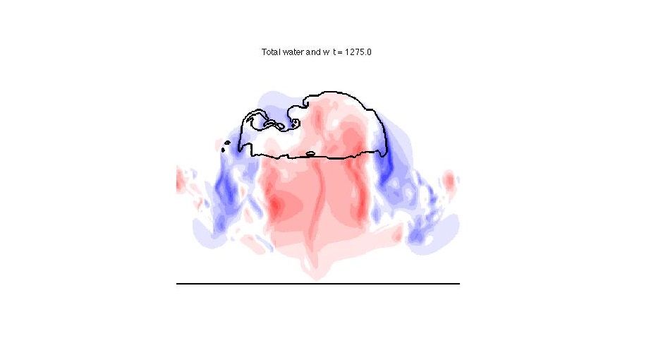 The figure shows a shallow cumulus cloud simulated using the new approach.
