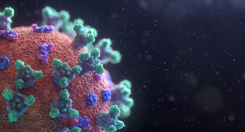 Visualisation of the Covid-19 virus