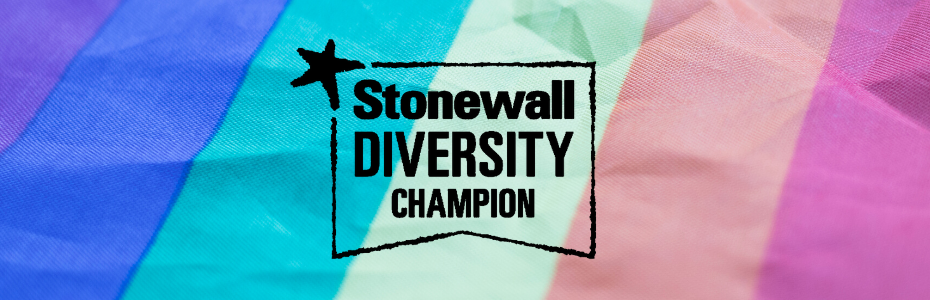 Banner Stonewall Diversity Champion