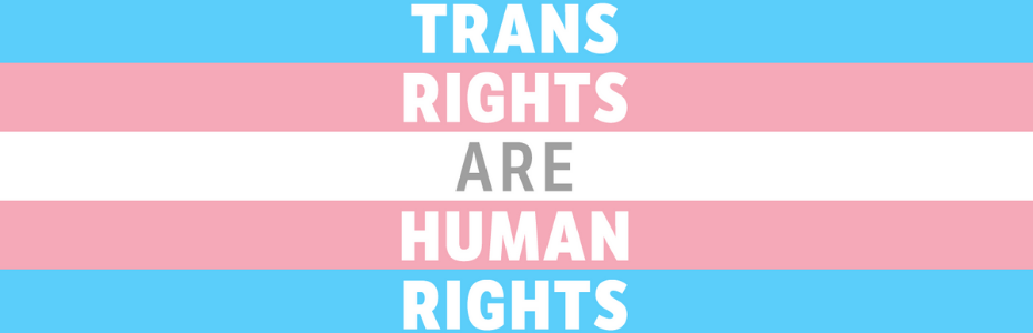 Banner Trans Rights