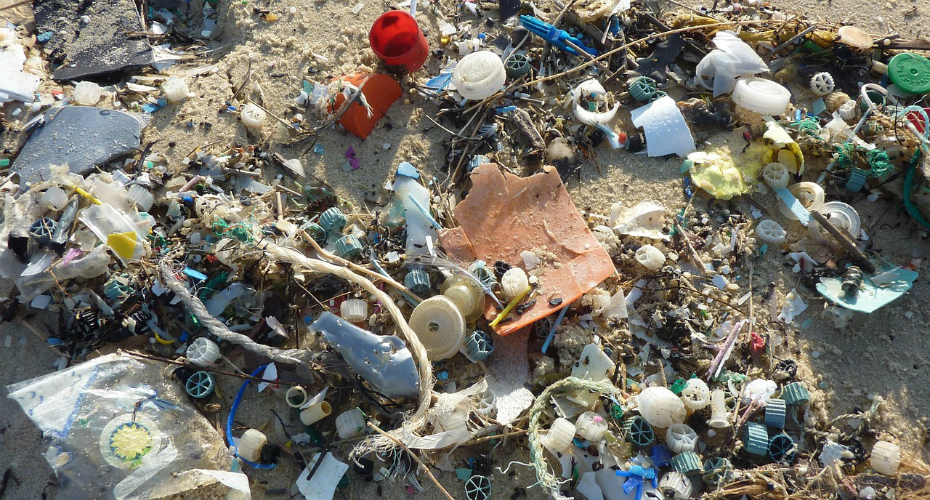 Marine plastic pollution | MTEH | University of Exeter