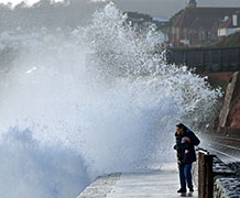 Credit Paul J Martin / Shutterstock.com