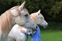 Credit Belinda Seaward
