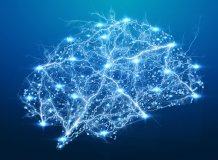 Brain neurones Shutterstock paid