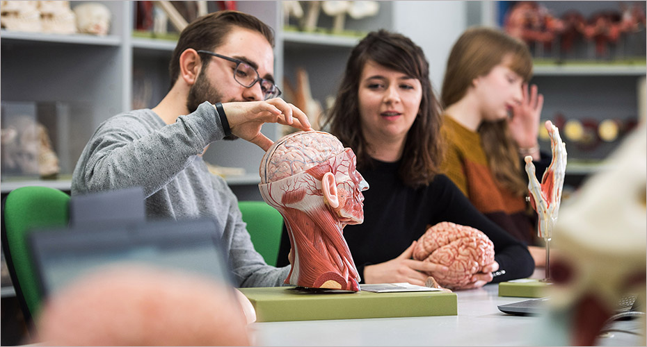 Neuroscience BSc | Undergraduate Study | University of Exeter
