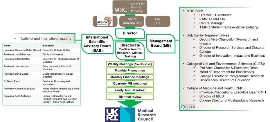 MRC CMM structure and management as of Feb 2021