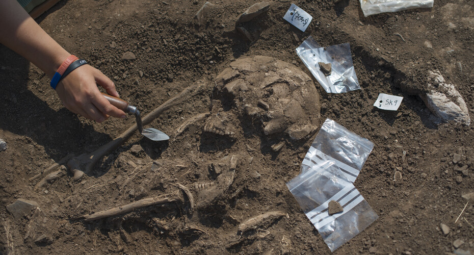 Archaeology dig at Ippledon - skeleton