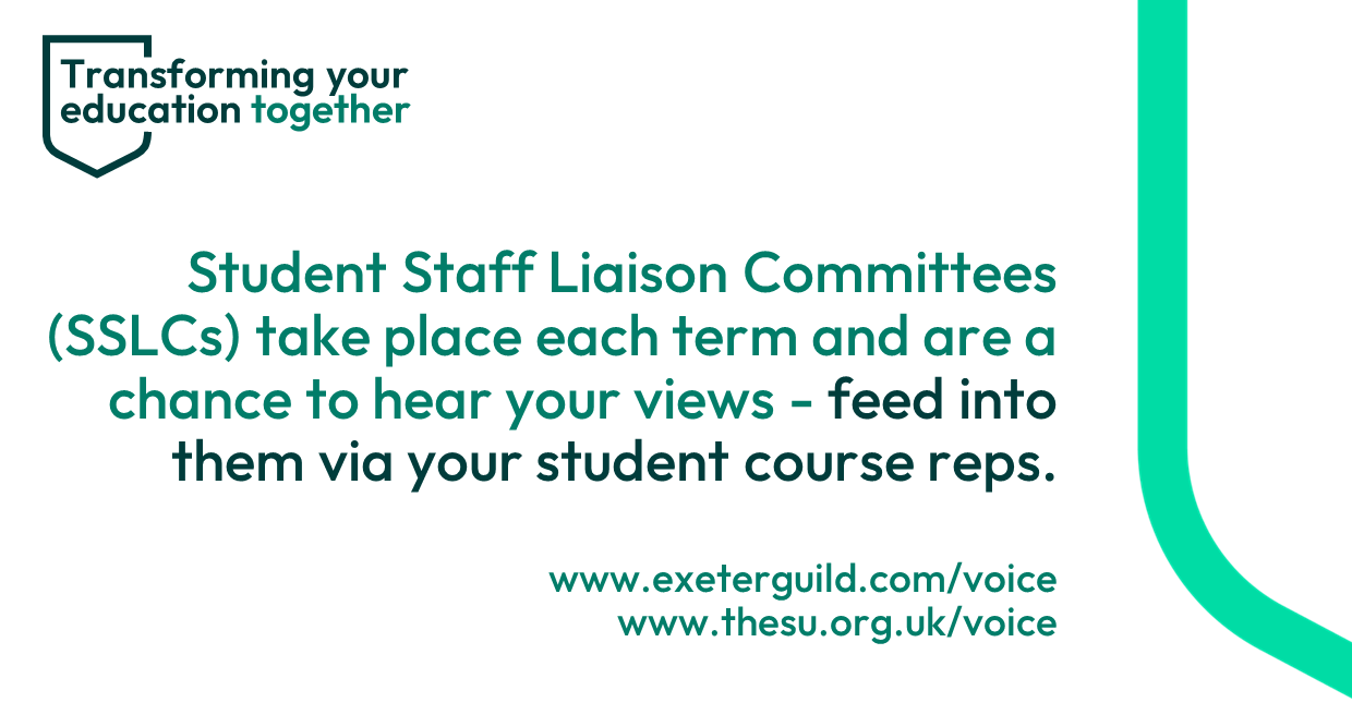 Student Staff Liaison Committees (SSLCs) take place each term and are a chance to hear your views - feed into them via your student course reps.