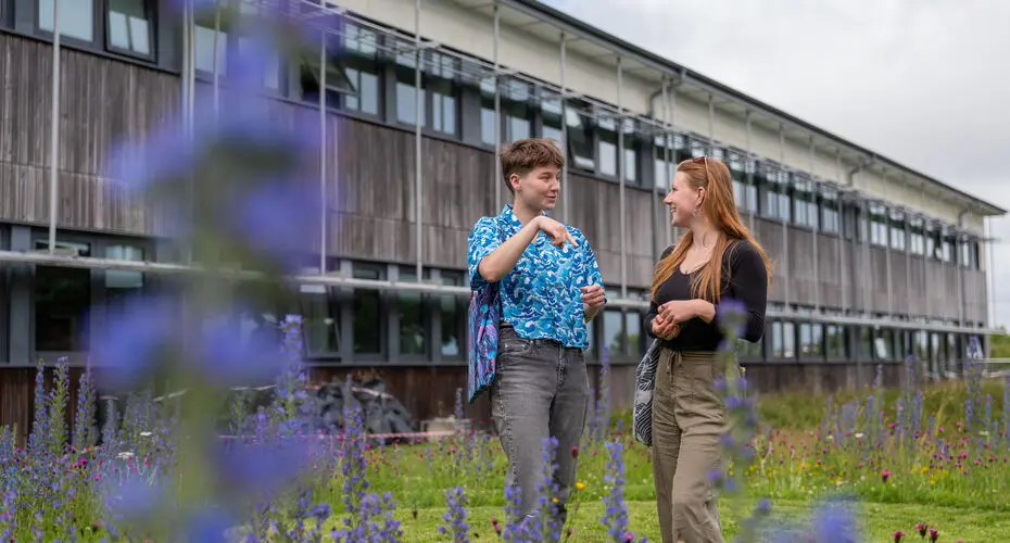 Students outside in University grounds