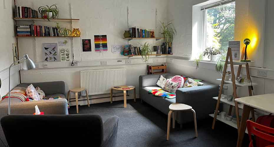 Room with two sofas facing each other with books and plants on bookshelves and lit by lamps