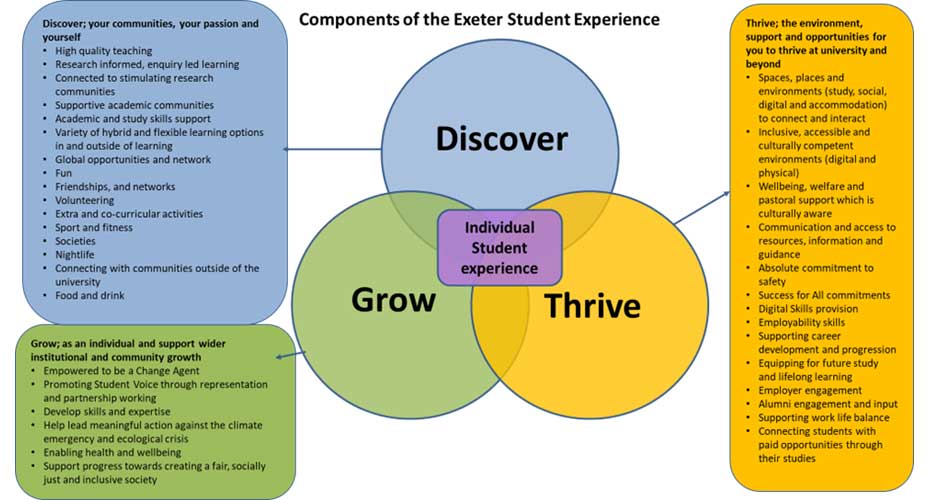 Components of the student experience