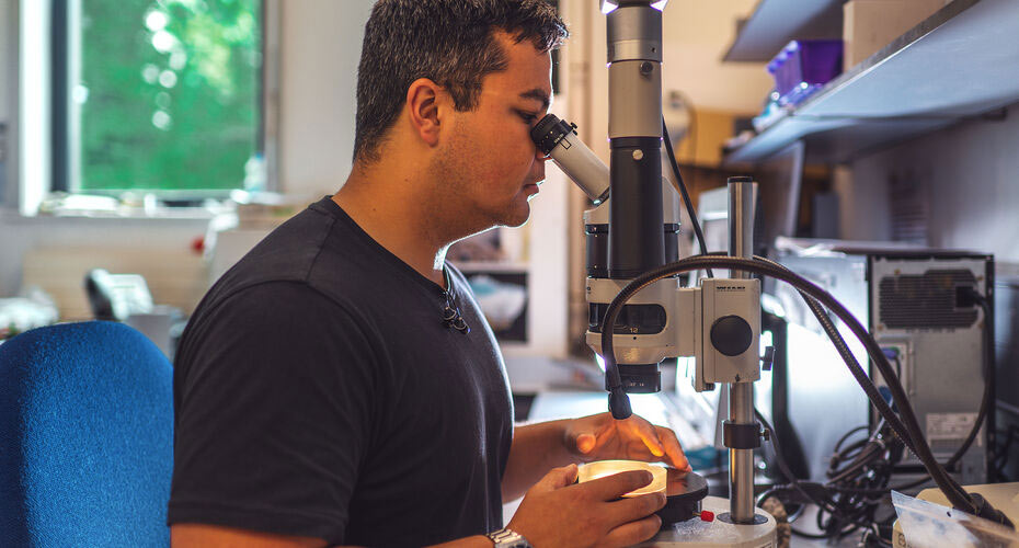 Deep Digital Visualisation Suite in the Daphne Du Maurier building, Penryn Campus.