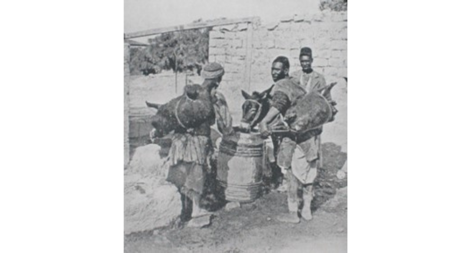 Arabian donkey water carriers c. 1890-1910 https://dqhall59.com/waterskins.htm