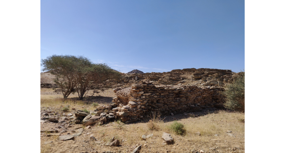 A qanāt (canal) at Wadi ‘Abathir) in Yanbu al-Nakhl provides water for the well (jāriya), D A Agius 2024