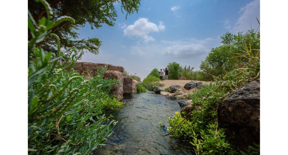 Yanbu al-Nakhl where waters are abundant. The camel caravan coming from Yanbu al-Bahr passed through this site for many centuries www.facebook.com/photo
