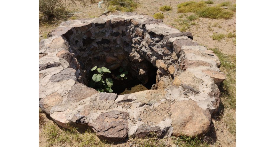 A qanāt (canal) at Wadi ‘Abathir) in Yanbu al-Nakhl provides water for the well (jāriya), D A Agius 2024