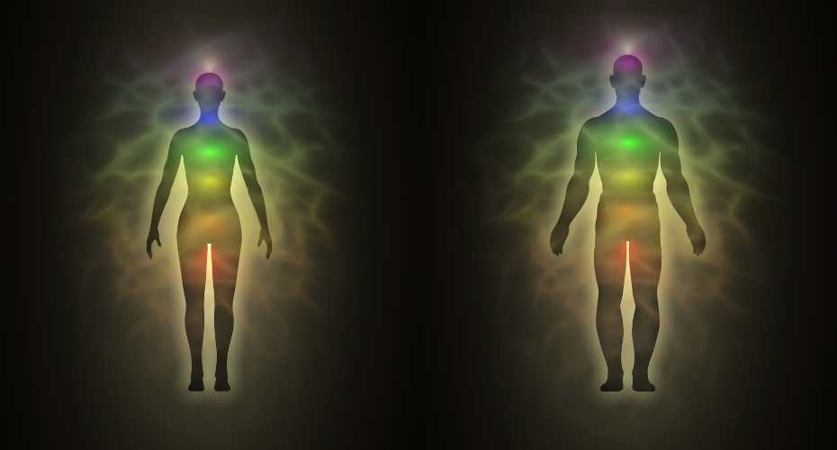 Two computer generated outlines of a male and female human body drawn in multio