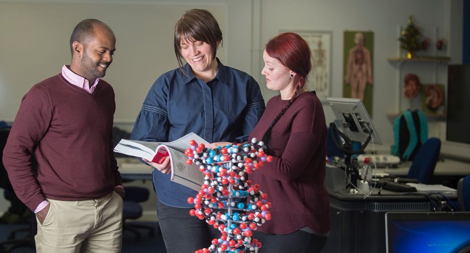 Three students looking at book infront of 3d DNA model