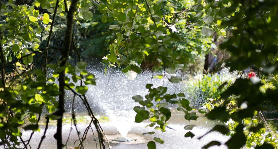 Reed Hall pond