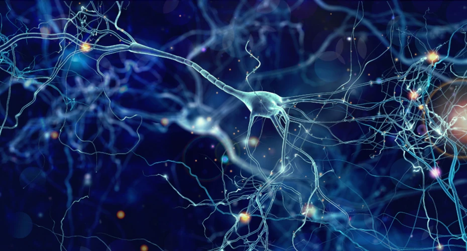 Aphantasia describes a person’s inability to visualise in the mind.