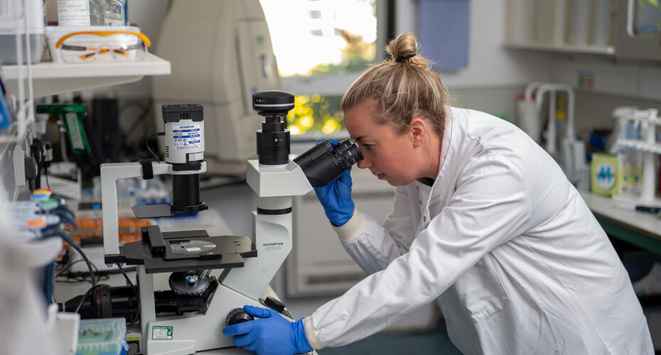 public health research