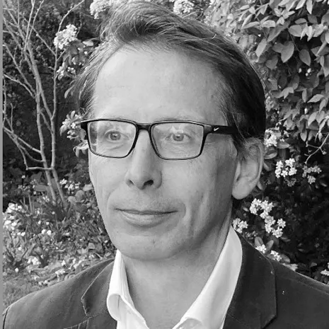 Professor Anthony King