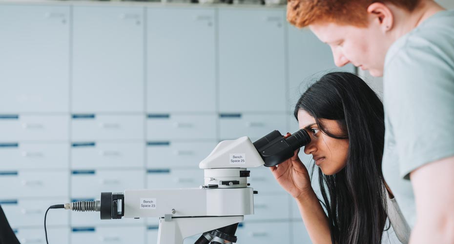 Students in a lab looking into a microscope