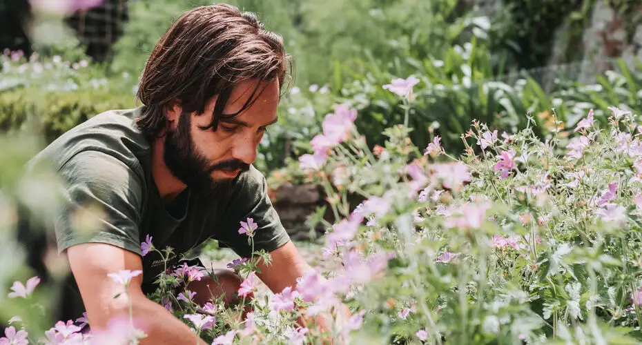 A male student with a beard, working in a garden with pink flowers.