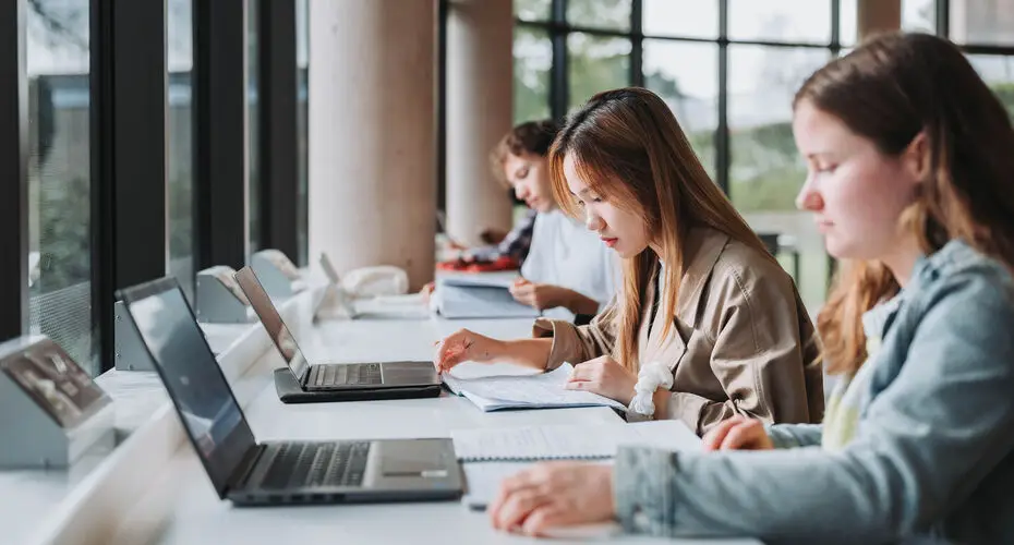 Students studying with their laptops next to a window