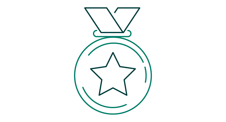Medal with star on icon