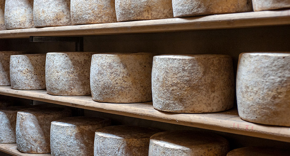 Cheese maturing on racks