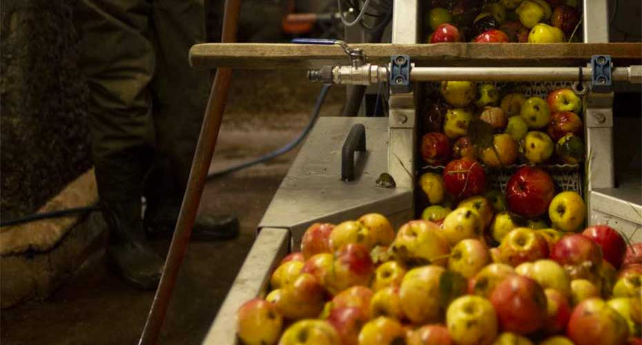 Apples in a machine
