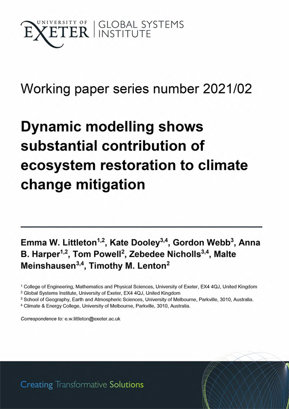 Dynamic modelling working paper image