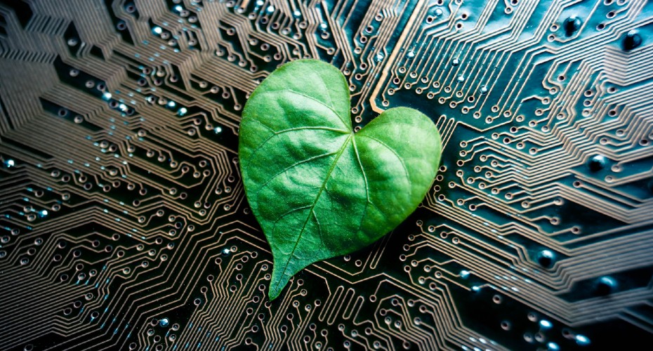 Leaf heart on a circuit board