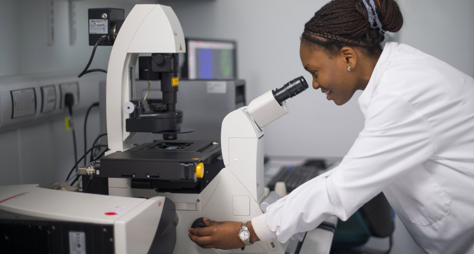 Image of person looking down a microscope