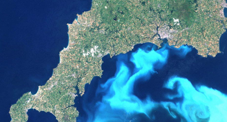 Map showing algae bloom