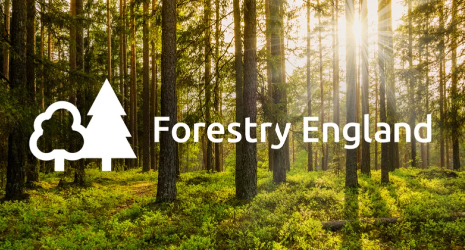 Logo for forestry england.